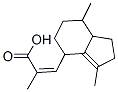 CasImg