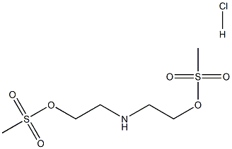 CasImg