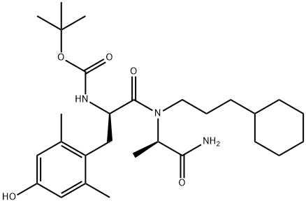 CasImg