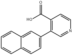 CasImg