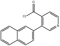 CasImg