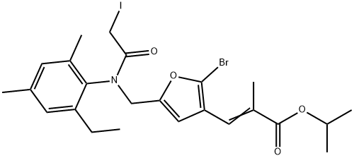 CasImg