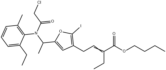 CasImg