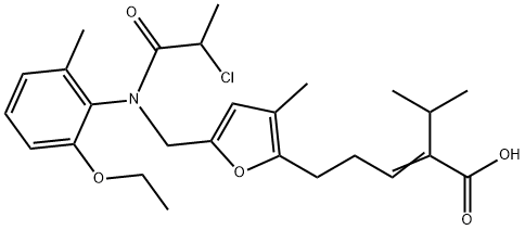 CasImg
