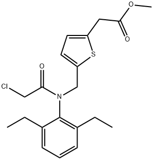 CasImg