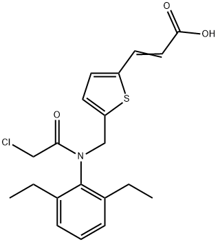 CasImg