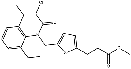 CasImg