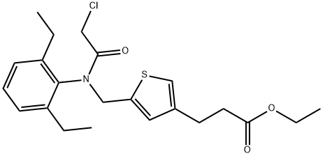 CasImg