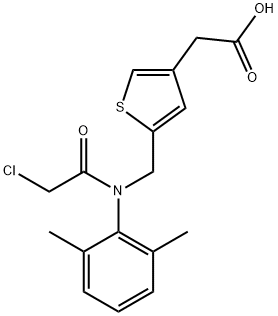 CasImg