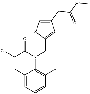 CasImg