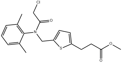 CasImg