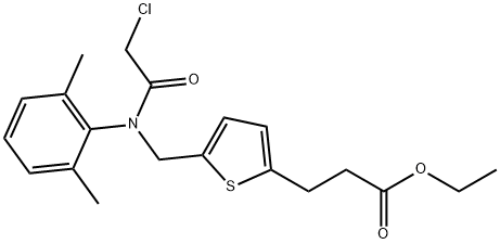 CasImg