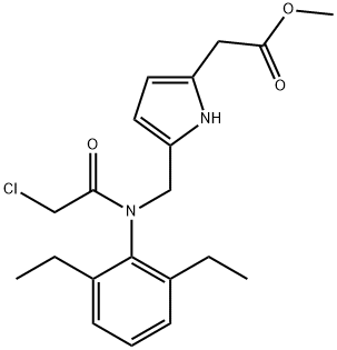 CasImg