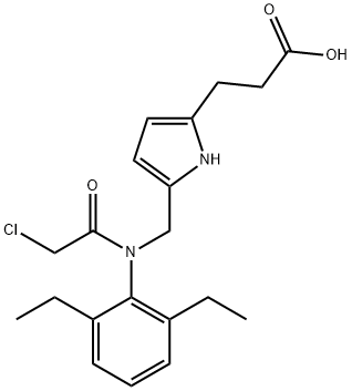 CasImg