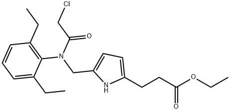 CasImg