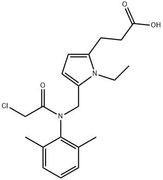 CasImg