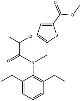 CasImg