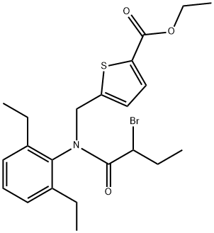 CasImg
