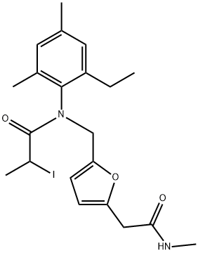 CasImg