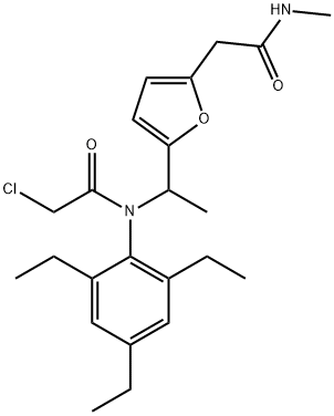 CasImg