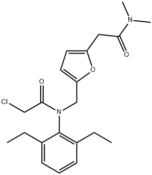 CasImg
