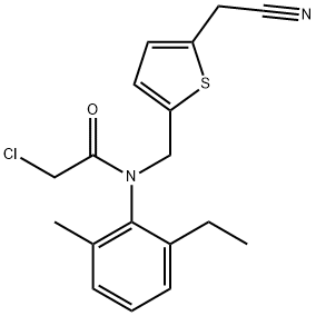 CasImg