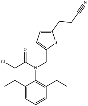 CasImg