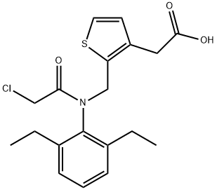 CasImg