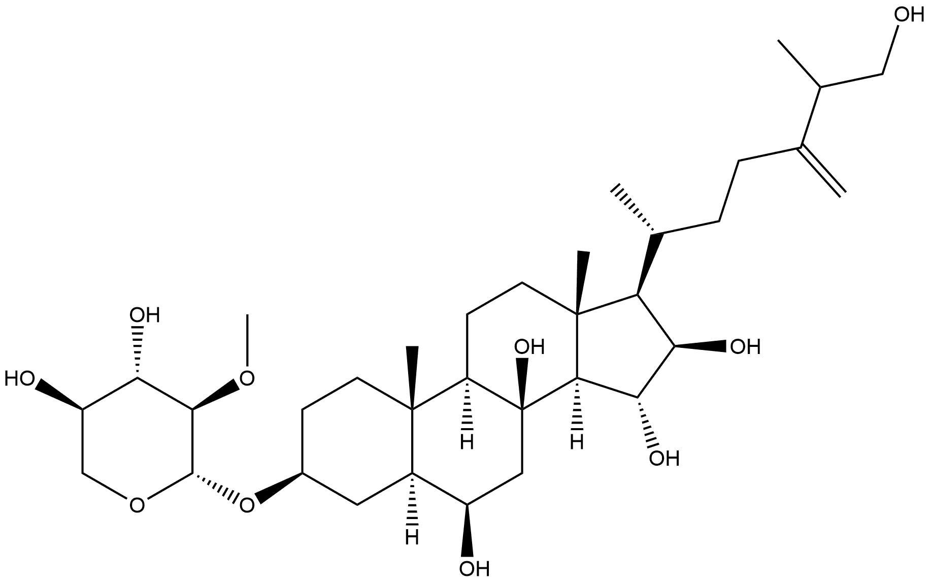 CasImg
