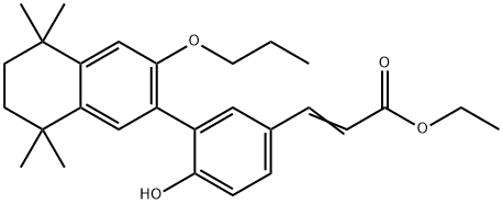 CasImg