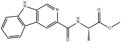 CasImg