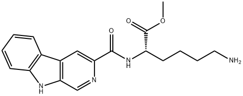 CasImg