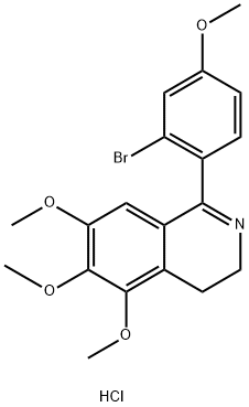CasImg