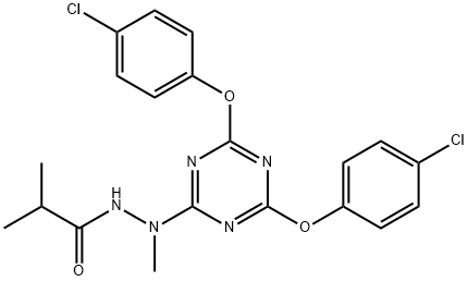 CasImg