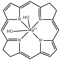 CasImg