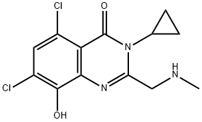 CasImg