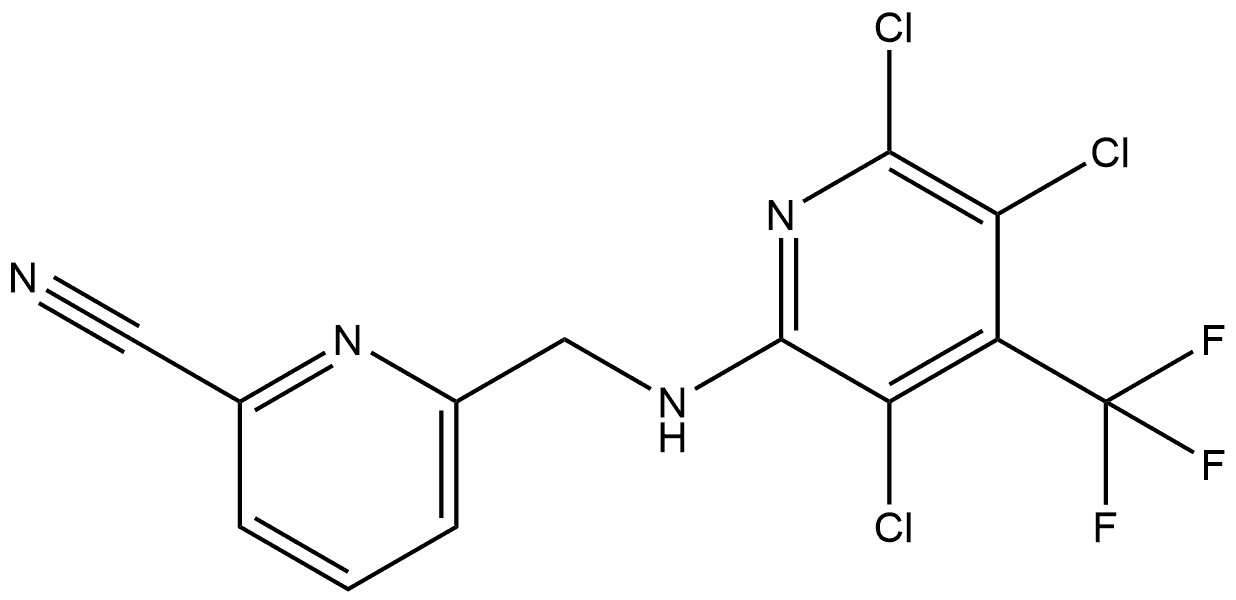 CasImg