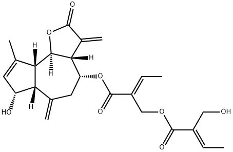 CasImg