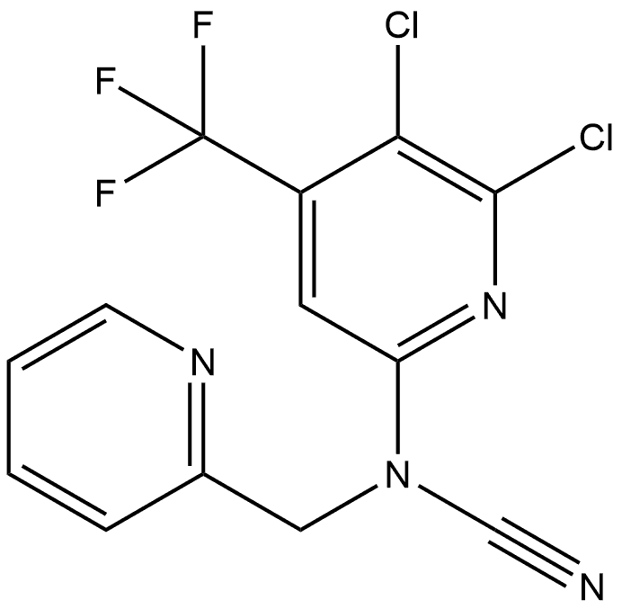 CasImg