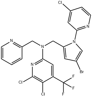 CasImg