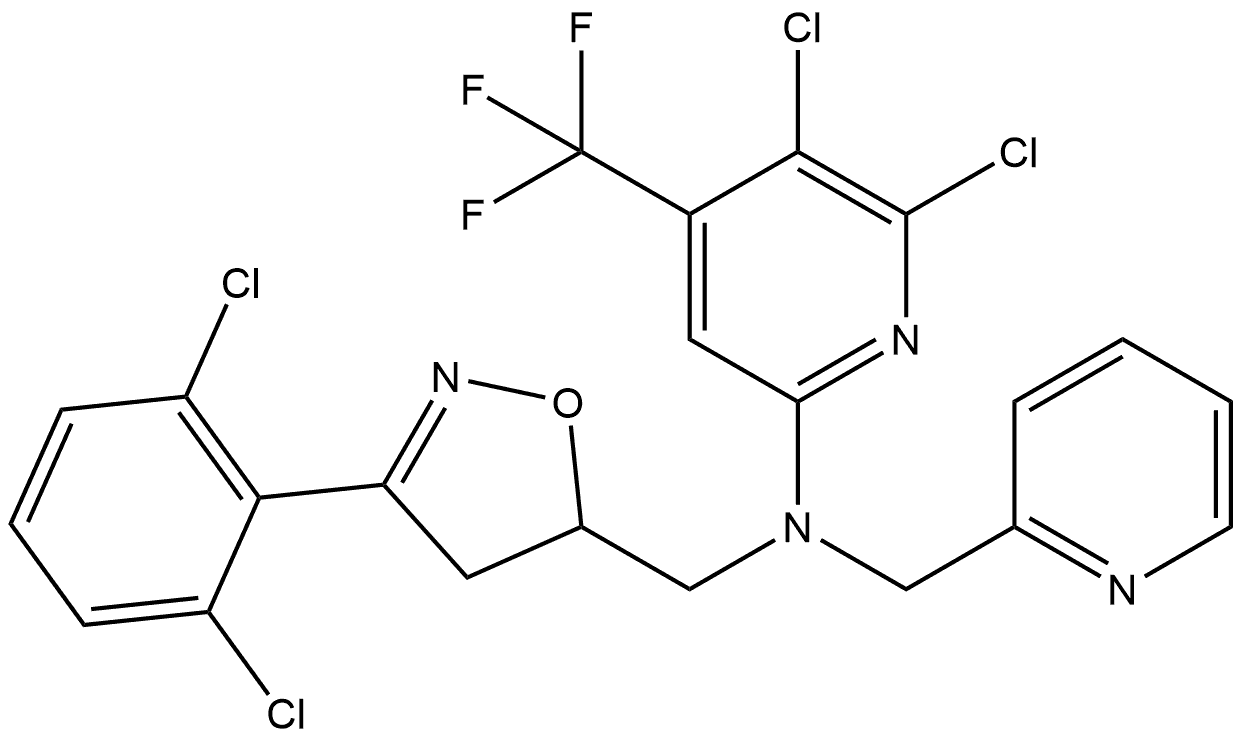 CasImg