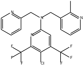 CasImg