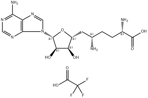 CasImg