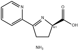 CasImg