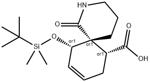 CasImg