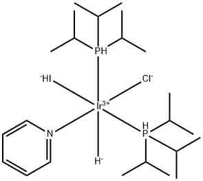 CasImg