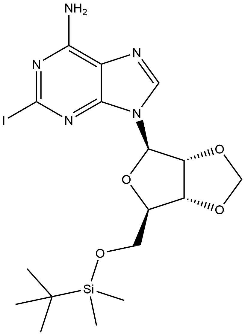 CasImg
