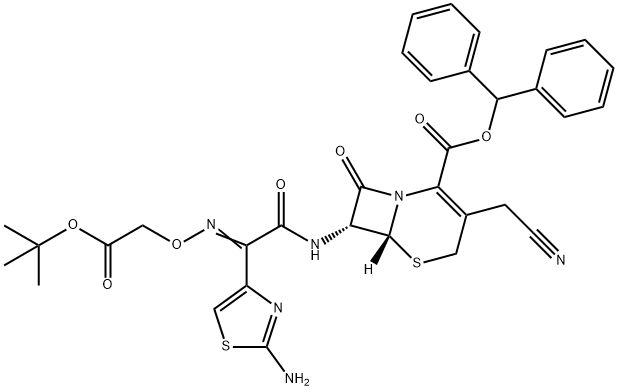 CasImg