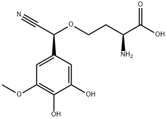 CasImg