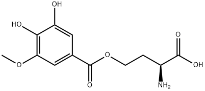 CasImg